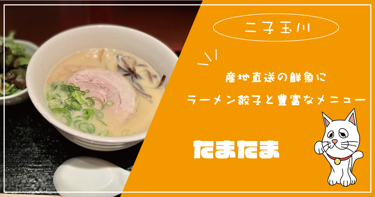 二子玉川 確かな味と安心価格 たまたま二子玉川店 で子連れランチ Jimohack ジモハック 世田谷区版