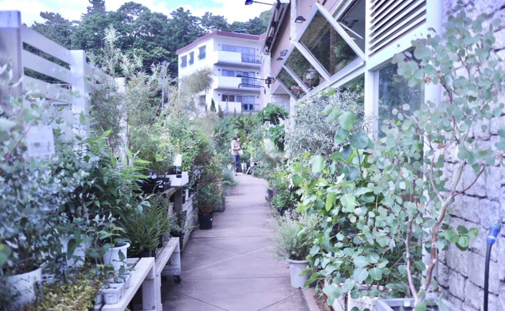 二子玉川 プロトリーフ Protoleaf は家族でもカップルでも楽しめる 都内最大級の園芸店を散策