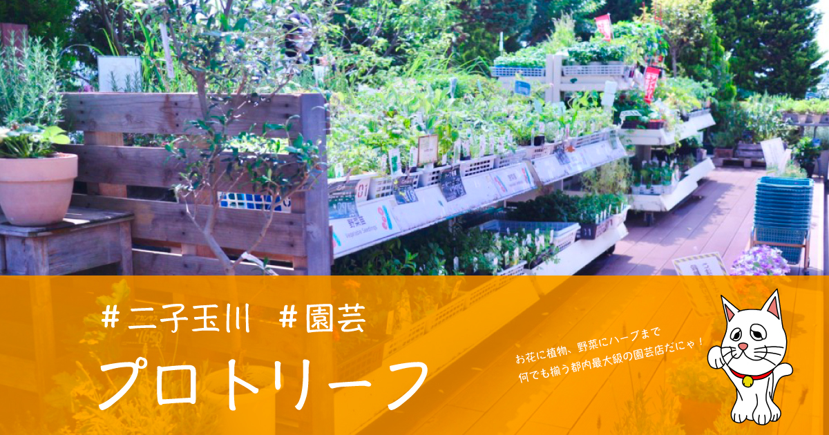 二子玉川 プロトリーフ Protoleaf は家族でもカップルでも楽しめる 都内最大級の園芸店を散策