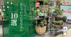 二子玉川 プロトリーフ Protoleaf は家族でもカップルでも楽しめる 都内最大級の園芸店を散策