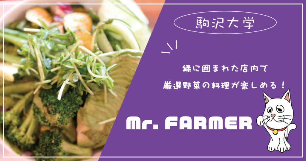 Mr.Farmer-緑に囲まれた店内で、厳選された新鮮で美味しいお野菜料理が楽しめる