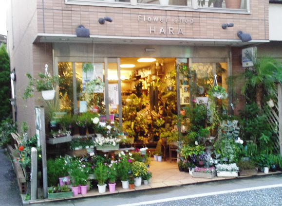 二子玉川　Flower Shop HARA　外観