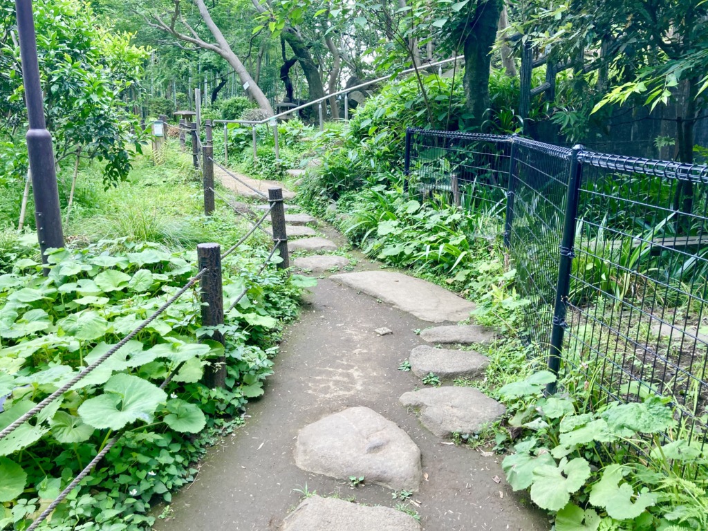 等々力　等々力渓谷　日本庭園