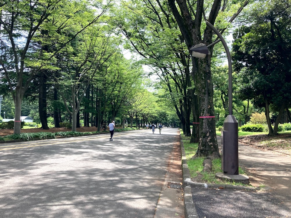 世田谷区　駒沢大学　駒沢オリンピック公園　園内風景